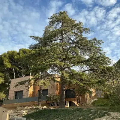 Entre sel et ciel 2 maisons 2 caractères 1 piscine 1 boulodrome 2 ascenseurs