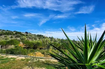 a plant in front of a hill with a blue sky at La Saline maison familiale avec jardin in Lapalme