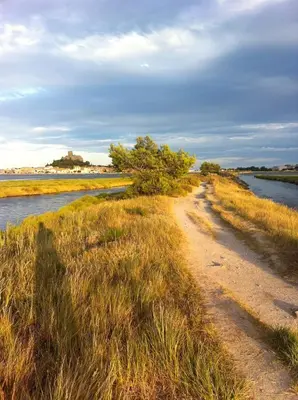 a dirt road next to a body of water at Appartement cosy vue mer avec terrasse in Gruissan