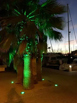 a couple of palm trees with green lights at Appartement cosy vue mer avec terrasse in Gruissan