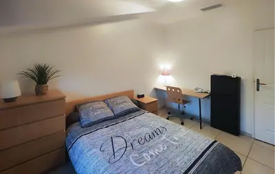 a bedroom with a bed with a dresser and a desk at Stunning Home In Puisserguier in Puisserguier