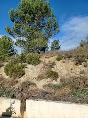 a tree on top of a hill next to a wall at Maison Sol Air in Montazels