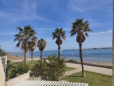a view of the beach and palm trees at Villa T4 Gruissan avec Vue Mer, Climatisée, 80m2, Plage à 50m, 6 Pers. - FR-1-796-100 in Gruissan