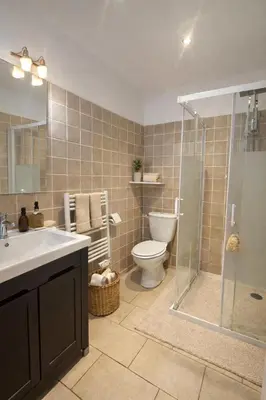 a bathroom with a shower and a toilet and a sink at Magnifique T2 - à 5 min de la Cité Médiévale in Carcassonne