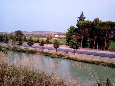 a river next to a road with trees on it at Villa Pamprenelle in Poilhès