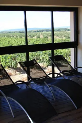 a room with a large window looking out at a vineyard at Domaine De L'aube Des Temps in Raissac-dʼAude