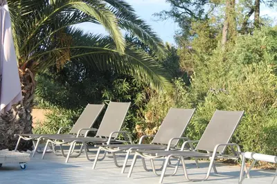 a row of lounge chairs sitting next to a palm tree at Domaine De L'aube Des Temps in Raissac-dʼAude