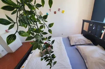 a plant sitting next to a bed in a bedroom at Via Domitia Spacieuse maison 5 chambres in Portel-des-Corbières