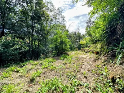 a dirt road in a forest with trees at Gîte La Bastide Saint-Roc Haute Vallée de l'Aude in Antugnac
