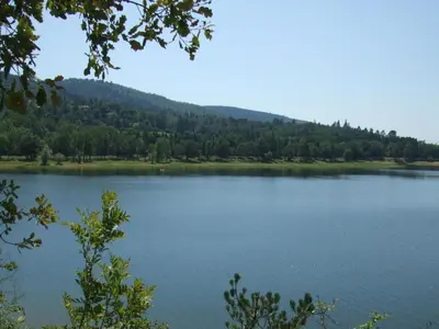 a view of a lake with trees in the background at Detached Family Villa in Les Cammazes in Les Cammazes