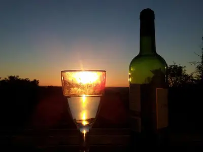 a glass of wine next to a bottle of wine at Holiday Home Schönes Ferienhaus mit Pool in Villautou by Interhome in Villautou