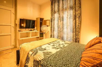 a bedroom with a bed and a tv and a curtain at Studio narbonne in Narbonne