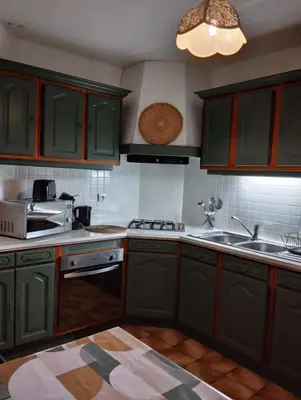 a kitchen with green cabinets and a sink at Cheminée, jardin et tranquillité assurée in Verdalle