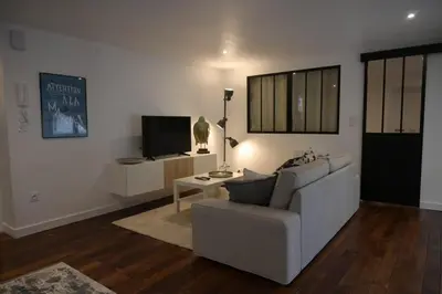 a living room with a couch and a tv at La Chouette - Atypique & lumineux, Place Jean Jaurès in Castres