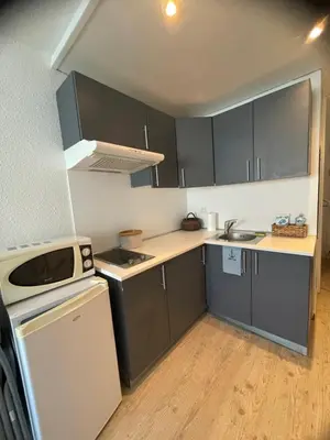 a small kitchen with gray cabinets and a sink at Studio cosy avec piscine et parking à Gruissan in Gruissan