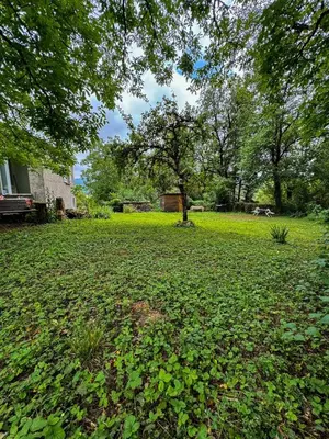 a field full of leaves on the ground in a yard at Le Havre de Paix in Espérausses