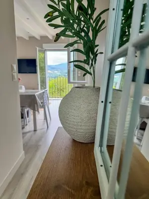 a plant in a large vase sitting on the floor at Le Havre de Paix in Espérausses