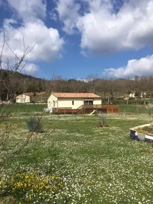 a field of flowers in front of a house at Les ferrajals in Rouvenac