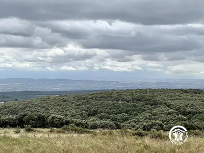 a view from the top of a hill with trees at Domaine de la calm in Villardonnel