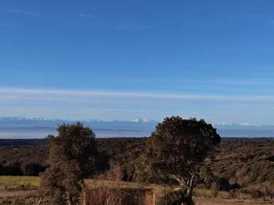a view of a field with trees in the foreground at La calm in Villardonnel
