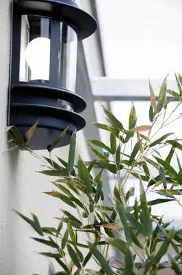 a black light on the side of a building with a plant at 514 Appart Hotel in Carcassonne