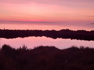 a view of a lake with birds in the sky at Maison avec beaucoup de caractères in Bages