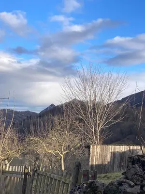 a fence and trees with mountains in the background at Charmant studio avec vue sur le château de Montségur in Montferrier