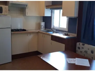 a small kitchen with a sink and a refrigerator at Mobil-home avec Terrasse pour 4 pers. - API-1-52-1601 in Sournia