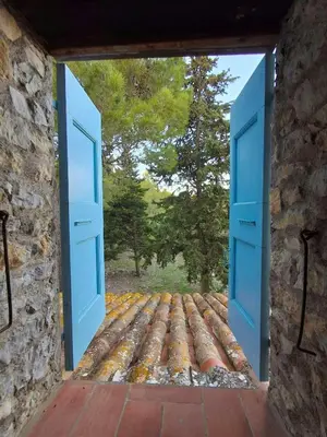 an open door with a view of a forest at Mediterranean Haven In Pine Forest At Leucate in Roquefort-des-Corbières