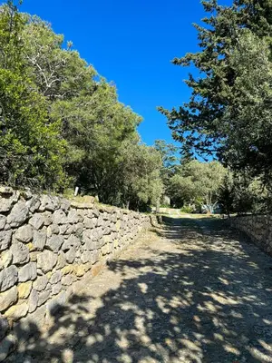 a stone wall with trees on the side of it at Mediterranean Haven In Pine Forest At Leucate in Roquefort-des-Corbières