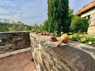 a stone retaining wall with bowls of vegetables on it at Farmhouse With Cathedral Lounge And Sauna In Pines in Cases-de-Pène