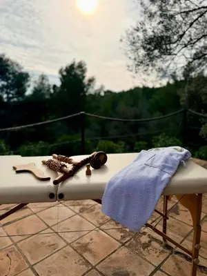 a guitar on a table with a shirt on it at Farmhouse With Cathedral Lounge And Sauna In Pines in Cases-de-Pène