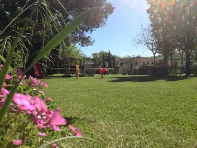 a park with a playground and flowers in the grass at Mobil-home 2 chambres avec terrasse à Vielmur-sur-Agout - API-1-52-1324 in Vielmur-sur-Agout