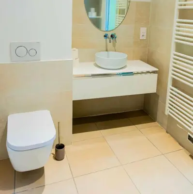 a bathroom with a toilet and a sink and a mirror at Chai Chateau viticole avec piscine dans le sud de la France in Bélesta