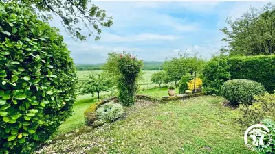 a garden with plants and flowers on the grass at Laguzou in Saint-Julien-de-Briola