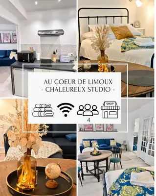 a collage of photos of a luxury chicago studio at LE COSY - Studio 4 pers - wifi - centre ville in Limoux