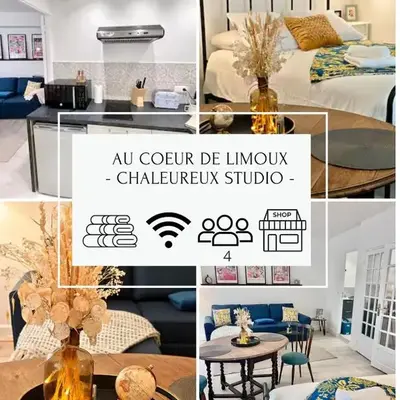 LE COSY - Studio 4 pers - wifi - centre ville