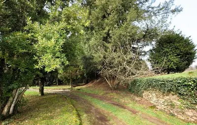 a dirt road with trees on the side of a field at Authentique Maison Piscine in Saint-Amans-Valtoret