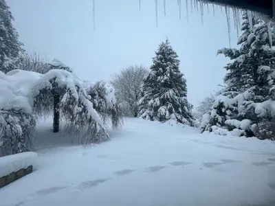 a snow covered path with trees and snow covered bushes at Maison de village, Route des lacs in Le Bez