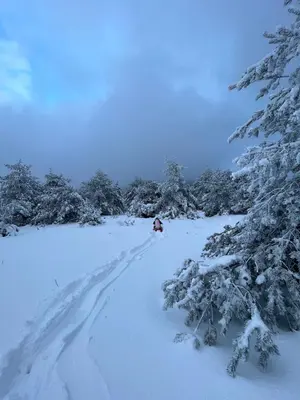 a trail in the snow with snow covered trees at Maison de village, Route des lacs in Le Bez
