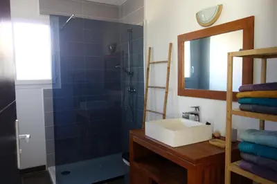 a bathroom with a sink and a shower with a mirror at La Cesse in Bize-Minervois