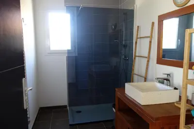 a bathroom with a shower and a sink at La Cesse in Bize-Minervois