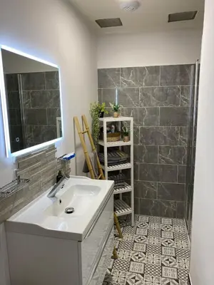 a bathroom with a sink and a shower at Maison T4 dans ancien corps de ferme avec lac in Gaudiès