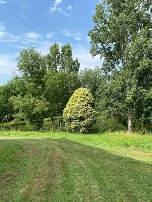 a dirt road in a field with trees in the background at Maison T4 dans ancien corps de ferme avec lac in Gaudiès