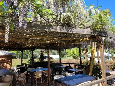 a pergola with tables and chairs under a purple wisteria tree at Mobil-home à Pamiers, 4 Pers, 2 Ch, Terrasse - API-1-52-1950 in Pamiers