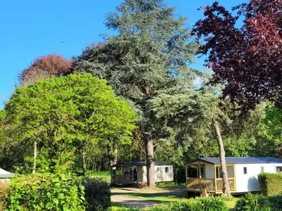 a large tree in front of a white house at Mobil-home à Pamiers, 4 Pers, 2 Ch, Terrasse - API-1-52-1950 in Pamiers