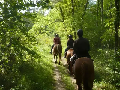 a group of people riding horses down a trail at Mobil-Home Confort 4 Pers. à Pamiers - API-1-52-1960 in Pamiers