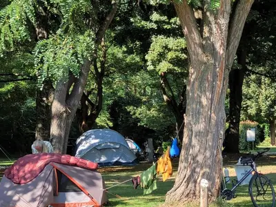 a group of tents in a park next to trees at Mobil-home cosy pour 2 à Pamiers - API-1-52-1959 in Pamiers