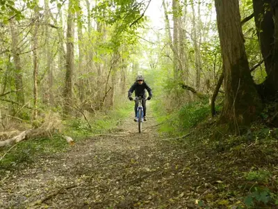 a person riding a bike on a trail in the woods at Chalet 6 pers avec Terrasse & Jardin - API-1-52-1952 in Pamiers
