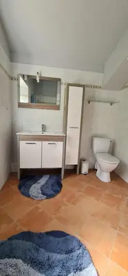 a bathroom with a toilet and a sink at L'echappee nature le grand gite in Saint-Benoît